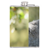 Flasques Des lémuriens de Madagascar surpris (Dos)