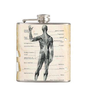Flasques Dessin d'anatomie vintage