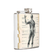 Flasques Dessin d'anatomie vintage (Droite)