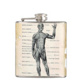 Flasques Dessin vintage d'anatomie (Devant)