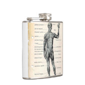Flasques Dessin vintage d'anatomie (Droite)