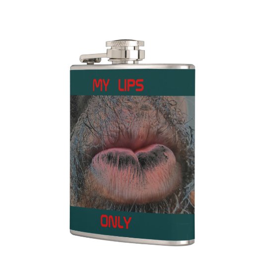 FLASQUES DISPOSITIF DE DAMES (Gauche)