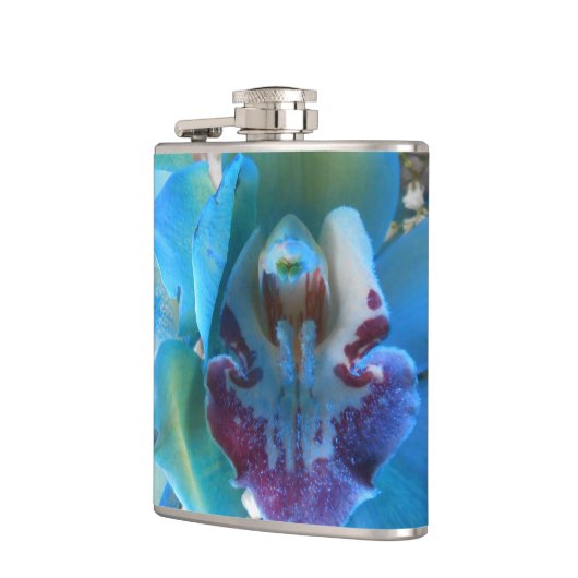 Flasques Donella (Gauche)