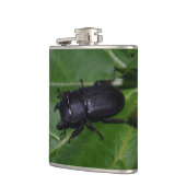 Flasques Dorcus parallelipipedus, le moindre dendroctone du (Gauche)