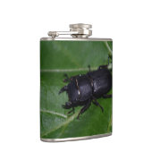 Flasques Dorcus parallelipipedus, le moindre dendroctone du (Droite)