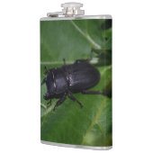 Flasques Dorcus parallelipipedus, le moindre dendroctone du (Gauche)