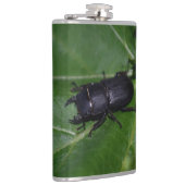 Flasques Dorcus parallelipipedus, le moindre dendroctone du (Droite)