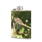 Flasques Dragonfly sur une fiole de brindilles (Gauche)