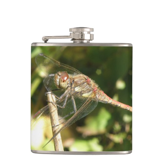 Flasques Dragonfly sur une fiole de brindilles (Devant)