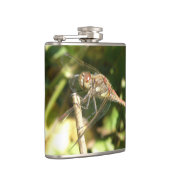 Flasques Dragonfly sur une fiole de brindilles (Droite)