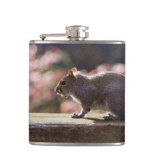 Flasques Écureuil