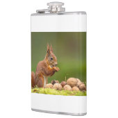 Flasques écureuil mangeant un écrou (Gauche)