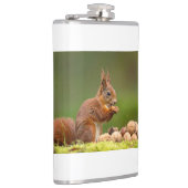 Flasques écureuil mangeant un écrou (Droite)