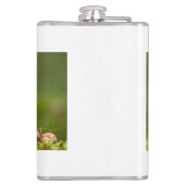 Flasques écureuil mangeant un écrou (Dos)