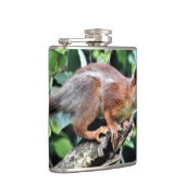 Flasques Écureuil rouge dans l'arbre (Droite)