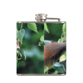 Flasques Écureuil rouge dans l'arbre (Dos)