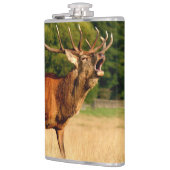 Flasques Élans de Taureau dans l'ornière (Gauche)