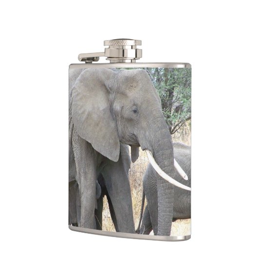 Flasques Eléphants (Gauche)