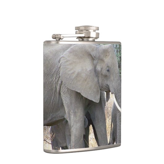 Flasques Eléphants (Droite)