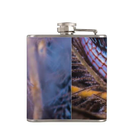 Flasques Épervier à nez long (Dos)