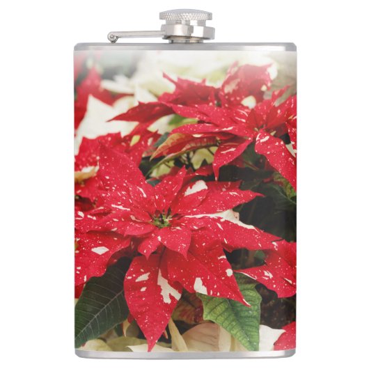 Flasques Festive Rouge Blanc Floral Poinsettia Fleurs (Devant)