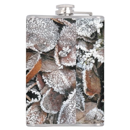 FLASQUES FEUILLES HIVER (Dos)