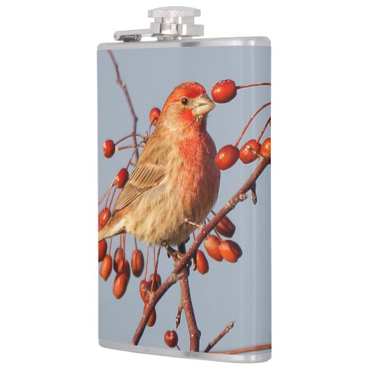 Flasques Finch maison avec Berries Hawthorn (Gauche)