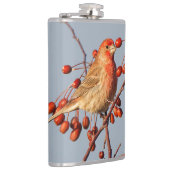 Flasques Finch maison avec Berries Hawthorn (Droite)