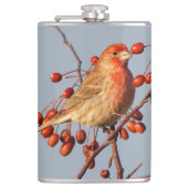 Flasques Finch maison avec Berries Hawthorn (Devant)