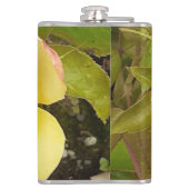 Flasques Fiole enrobée de vinyle de rose jaune (Dos)