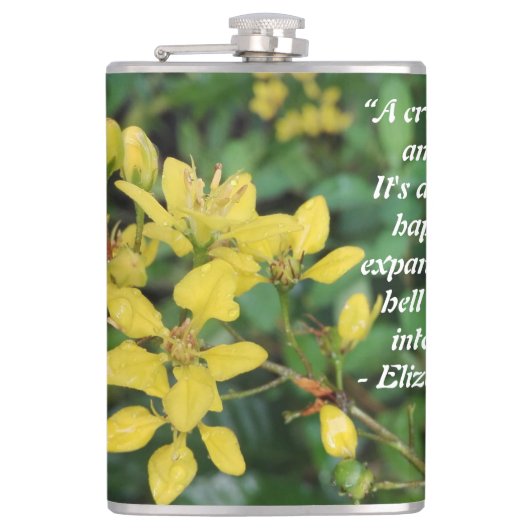 Flasques Fiole enveloppée de vinyle (Devant)