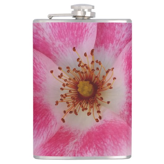 Flasques fleur rose (Devant)