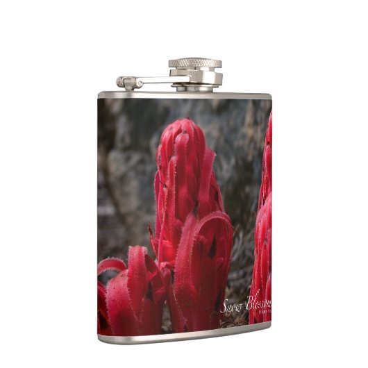 Flasques Fleurs de neige (Droite)