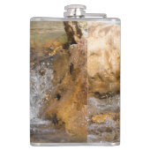 Flasques Flux orageux au printemps (Dos)