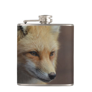 Flasques Fox rouge mignon