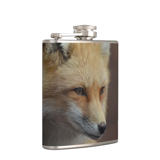 Flasques Fox rouge mignon (Droite)