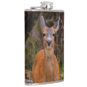 Flasques Funny Young Blacktail Deer sourit à un photographe (Droite)