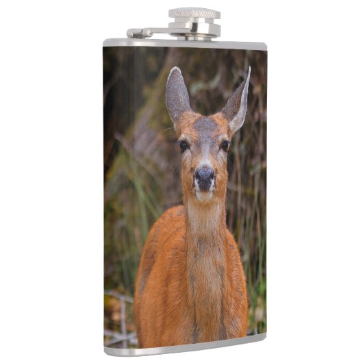 Flasques Funny Young Blacktail Deer sourit à un photographe (Droite)