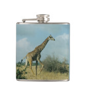 Flasques Giraffe en cours (Devant)