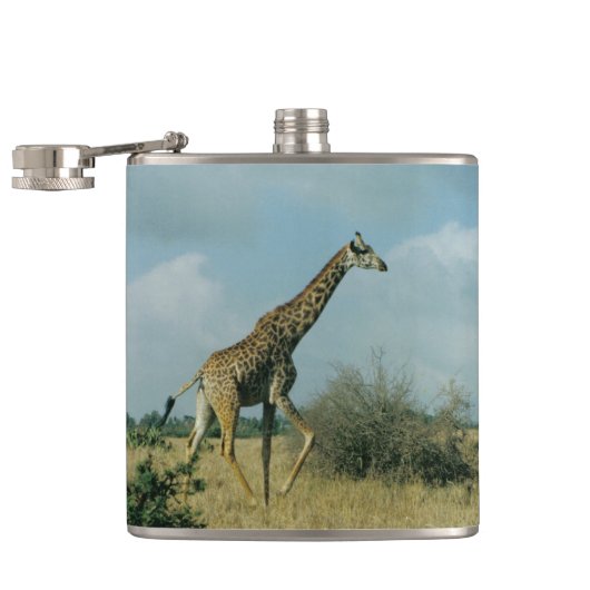 Flasques Giraffe en cours (Ouvert)