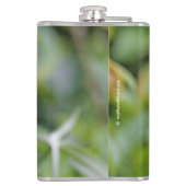 Flasques Goldfinch américain masculin sur le bambou (Dos)