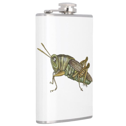 Flasques Grasshopper vert (Droite)