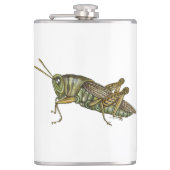 Flasques Grasshopper vert (Devant)
