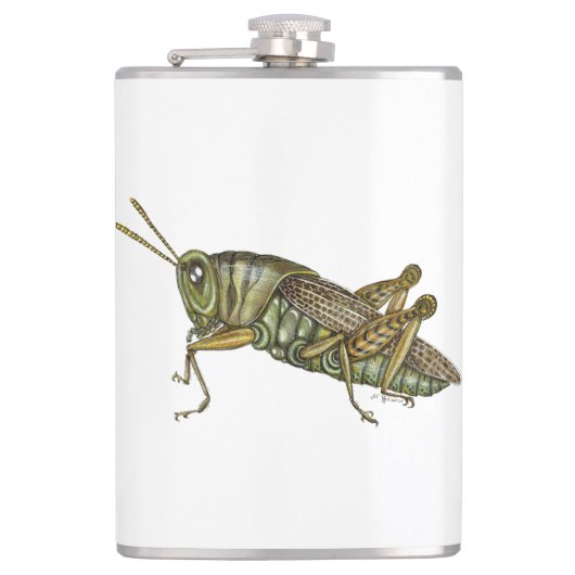 Flasques Grasshopper vert (Devant)