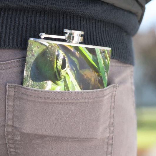 Flasques Grenouille verte (En situation)