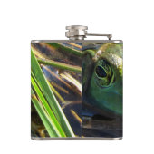 Flasques Grenouille verte (Dos)