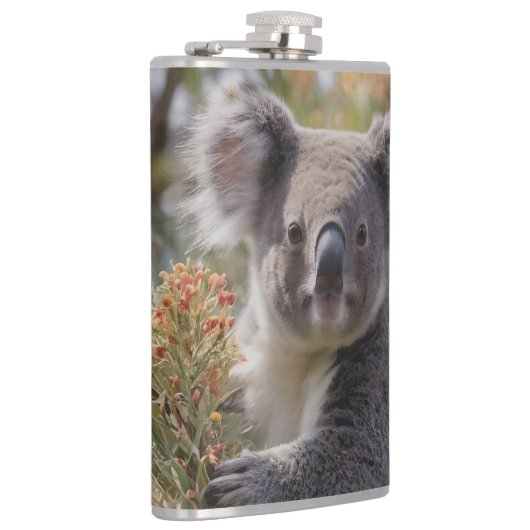 Flasques Grevillea Koala Bear, (Droite)