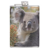 Flasques Grevillea Koala Bear, (Devant)