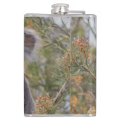 Flasques Grevillea Koala Bear, (Dos)