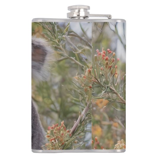 Flasques Grevillea Koala Bear, (Dos)